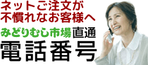 ネットご注文が不慣れなお客様へ