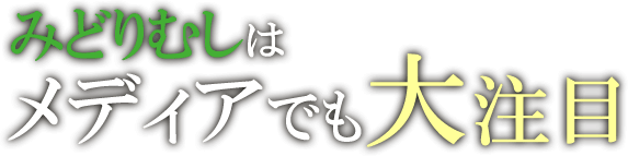 みどりむしはメディアでも大注目